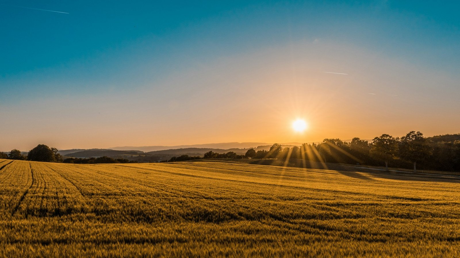 A long straight road through open farmland at dusk