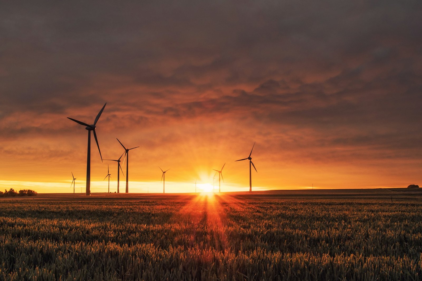 Wind turbines on open land under a wide sky
